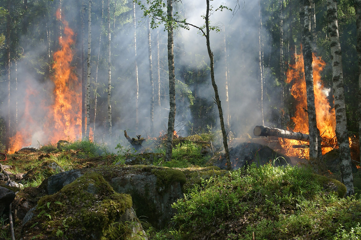 Claims losses from massive wildfires top $3 billion Claims losses from massive wildfires top $3 billion