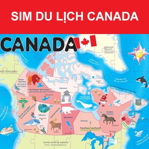 THÔNG TIN CHI TIẾT CÁC GÓI CƯỚC VỀ SIM CANADA
